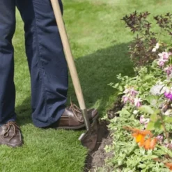 De Wiltfang RHS Graskantensteker 7 De Wiltfang RHS Graskantensteker -Graszaad Winkel image 244