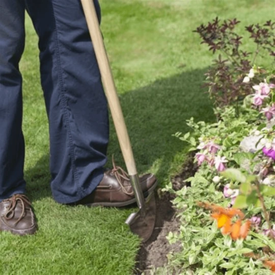 De Wiltfang RHS Graskantensteker 3 De Wiltfang RHS Graskantensteker - Afbeelding 3