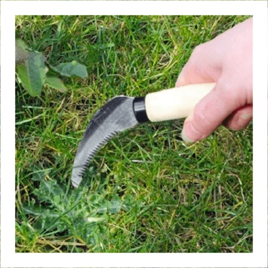 Burgon & Ball Grondmes (koolstofstaal) 2 Burgon & Ball Grondmes (koolstofstaal) - Afbeelding 2