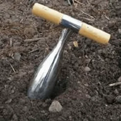 De Wiltfang RHS Pootstok 9 De Wiltfang RHS Pootstok -Graszaad Winkel image 304