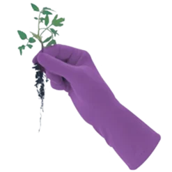 De Wiltfang Foxgloves Original -Graszaad Winkel image 311