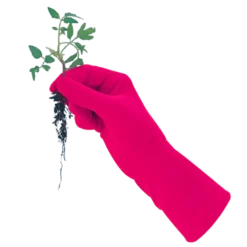 De Wiltfang Foxgloves Original -Graszaad Winkel image 312