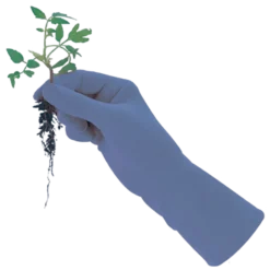 De Wiltfang Foxgloves Original -Graszaad Winkel image 313