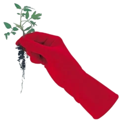 De Wiltfang Foxgloves Original -Graszaad Winkel image 314