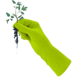 De Wiltfang Foxgloves Original -Graszaad Winkel image 315