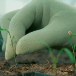 De Wiltfang Foxgloves Original -Graszaad Winkel image 318