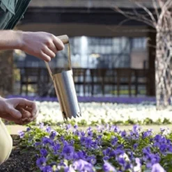 De Wiltfang RHS Bollenpriem, Handmodel -Graszaad Winkel image 330