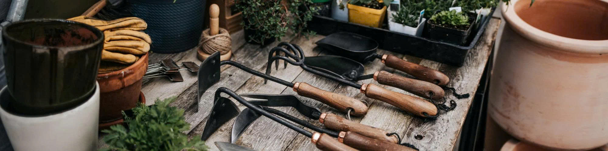 Graszaad Winkel -Graszaad Winkel z6930338733286 28e83ae1b761232013697ddcbb3bfc6c