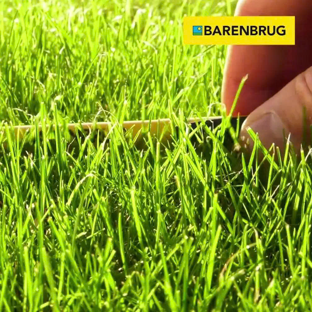 Graszaad Winkel -Graszaad Winkel z6930441266501 549c5da7a6bedd38dfb30531b714b2a7